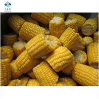 NON GMO Length 3-5cm 6-8cm IQF Frozen Sweet Corn Cut