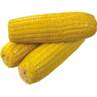 Ukranian-Top Selling Non GMO Yellow Maize/Corn